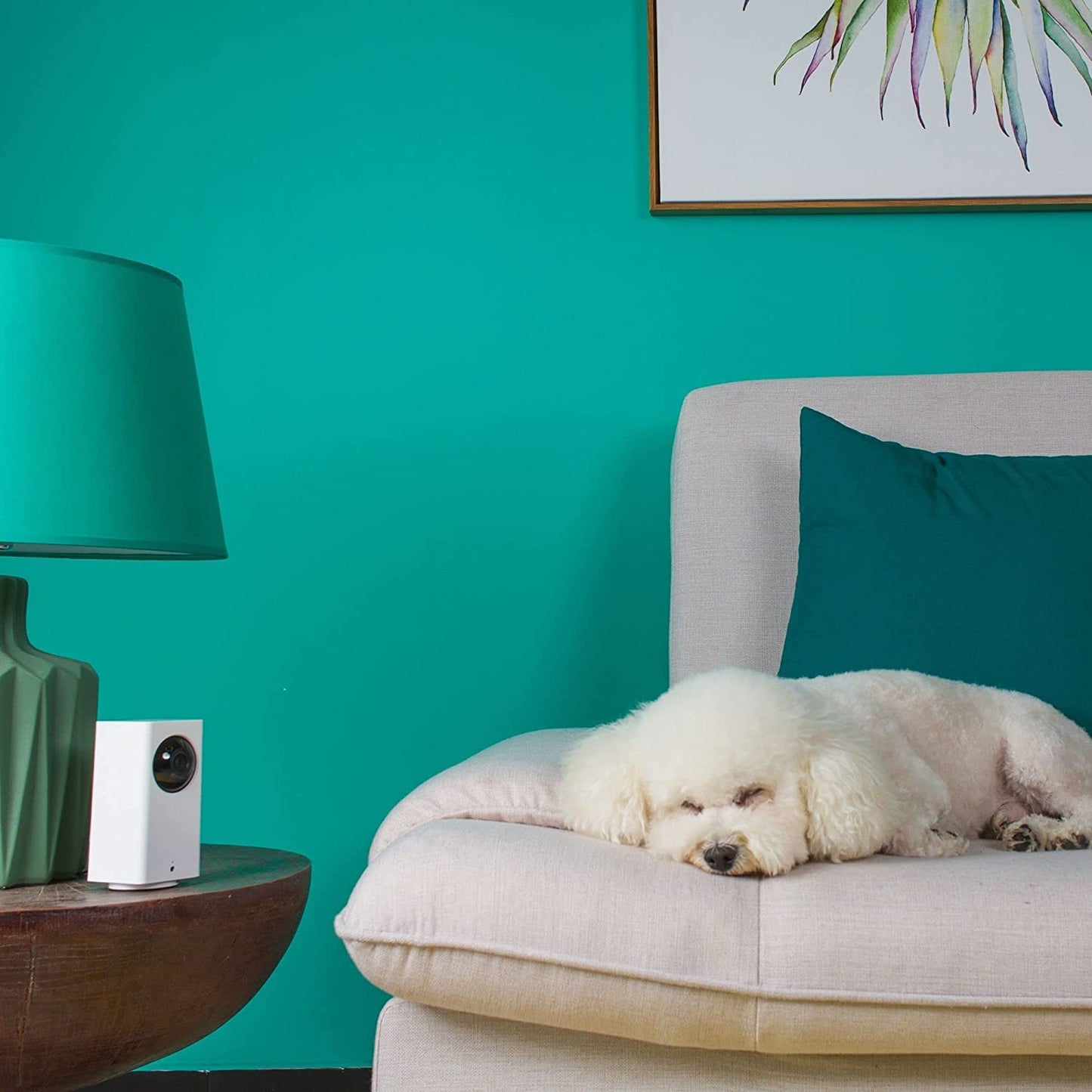 360° Rotation Camera with Night Vision and 2-Way Audio