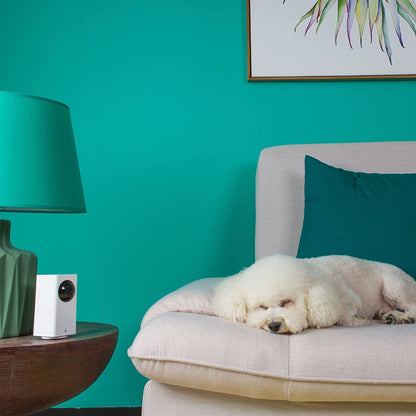 360° Rotation Camera with Night Vision and 2-Way Audio